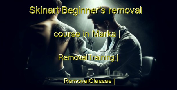 Skinart Beginner's removal course in Marka | RemovalTraining | RemovalClasses | SkinartTraining-Russian Federation